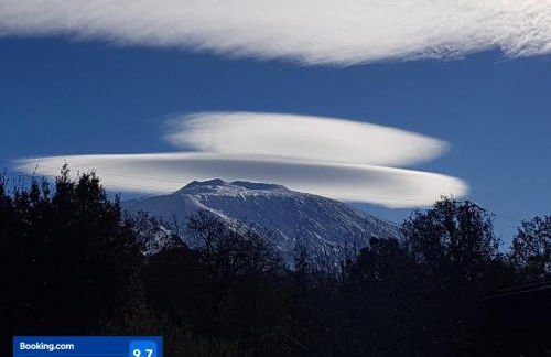 Etna, salvia e rosmarino - Foto 34