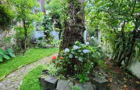 Muito espaço e natureza no meio da cidade - Foto 37