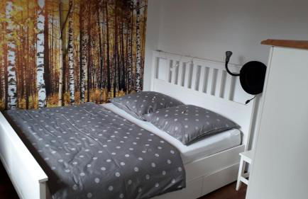 Wehrmietung - Foto 8