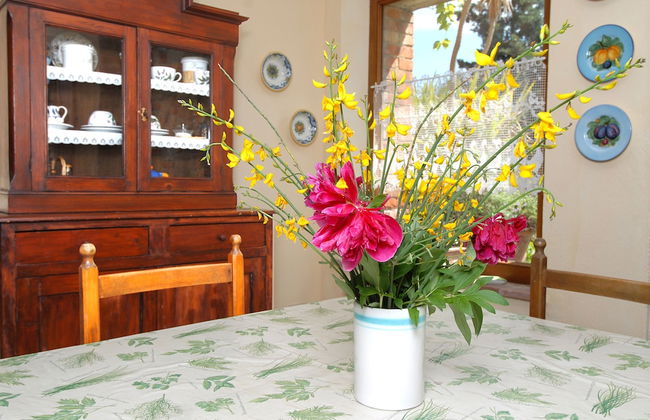 Tenuta S. Agnese - Photo 10