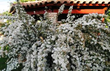 Amalias Place - Foto 50