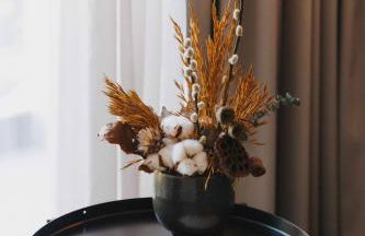 Timbre Boavista - Foto 27