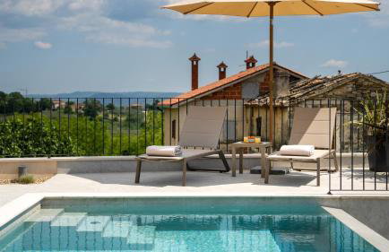 Modern villa Venta with jacuzzi and pool in Buje - Foto 17