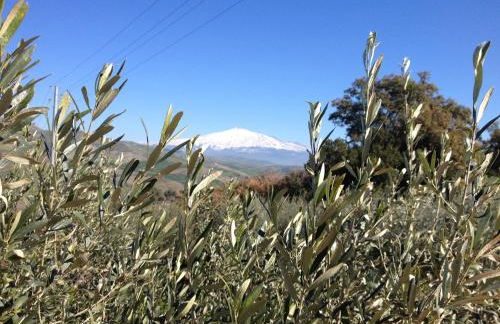Le Querce di Cota - Foto 75