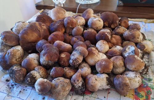 villa taro - Foto 36