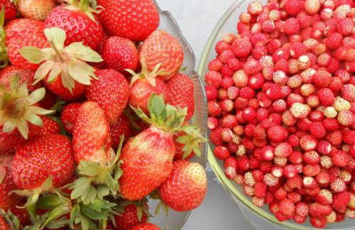 Halinówka - Twoje Miejsce w Górach Sowich - Foto 24