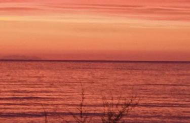 ASIMENIA STUDIOS - Photo 55