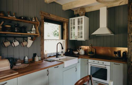 Mech i brzoza - Foto 39