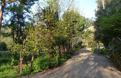 Quinta do Mosteiro - Foto 72