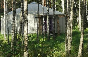 Biały Las Magiczna Stara Chata Puszcza Białowieska - Foto 50