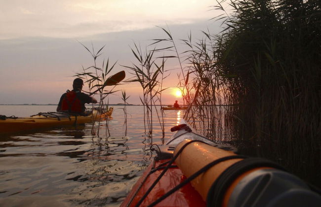 Old Shipman's House Comfortable Holiday Residence - Photo 25
