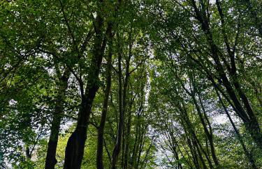 Apartment 2BR-free private parking-quick access to train into London-Wembley-Heathrow - Photo 29