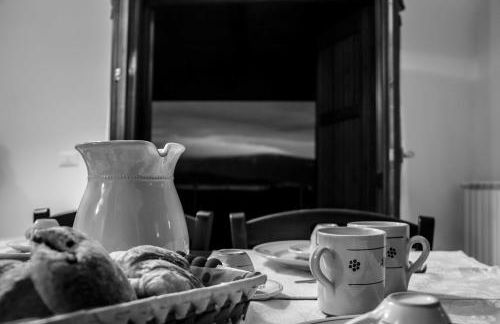 Campo Felice Experience - Foto 61