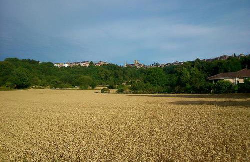 Le Haut 33 : Maison bourgeoise de caractère à Laon - Foto 40