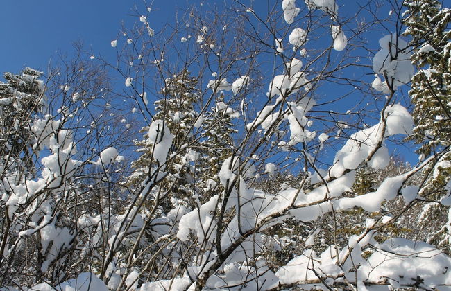 Flat in Neuburg Near the Baltic Sea Beach - Photo 24