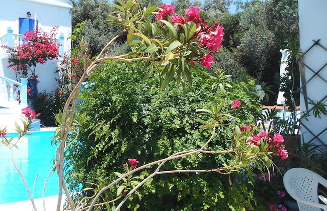 Meltemia Studio Samos Only 200 Metres From Aegean Sea - Foto 9