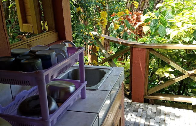 Berkey's Jungle Paradise - Photo 15