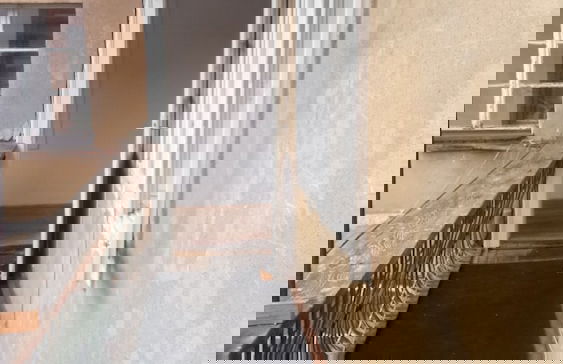 Harmony Gallery - Photo 20