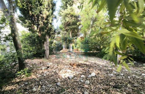 Casa Vacanza Lu Mare Puglia On line - Foto 39