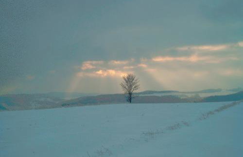 Michałówka Michaelhof - Foto 24
