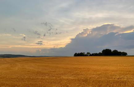 Ferienwohnung Bähr - Photo 17