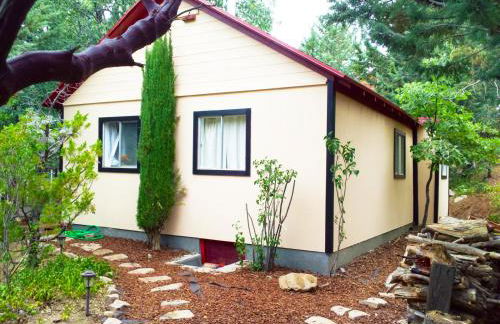 Time Traveler Retreat - Foto 3