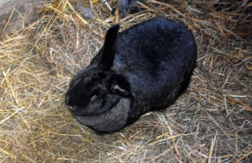 Apartament w Oklinach - Foto 37