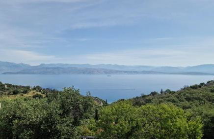 Efi Loutses - Foto 35