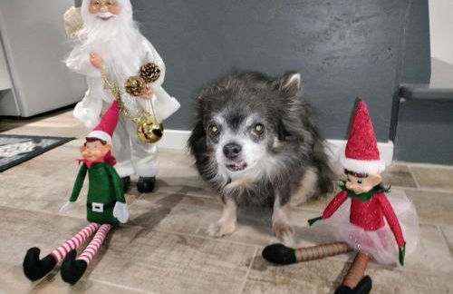 La petite maison de poncho - Foto 4