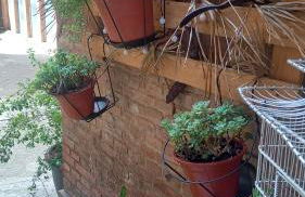 EL RINCÓN DE CHAVELY Estancia minima 2 noches - Foto 35