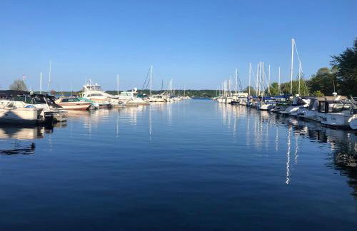 Sweet Cherry "Coral Shutter" - Foto 8