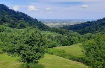 Albergo Torre - Foto 36