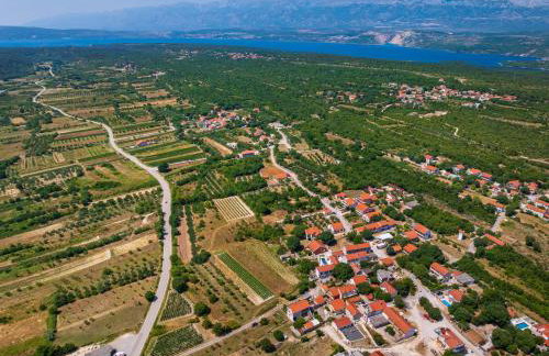 Cortile House - Photo 5