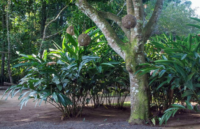 Quinta do Brasil Trancoso - Foto 79