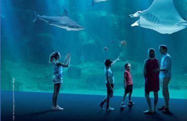 Dar Lila Cote d'Opale - Foto 7