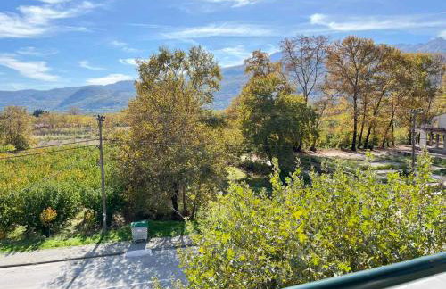 Drosia Hotel - Photo 50