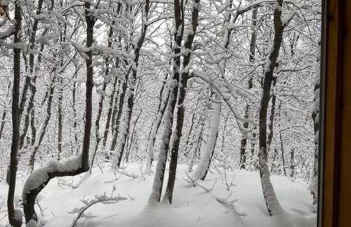 Sundance cabincasita sleeps 18 hottub firepits - Foto 64