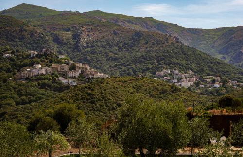 APICULTEUR - Foto 62