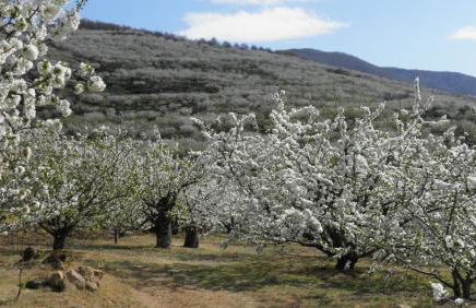 Dùplex Argollas Grand Suite Centro Parking gratis - Foto 55