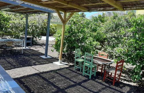 Finca Oasis Holidays & Health - Apartamentos con Rooftop Terrace - Foto 49