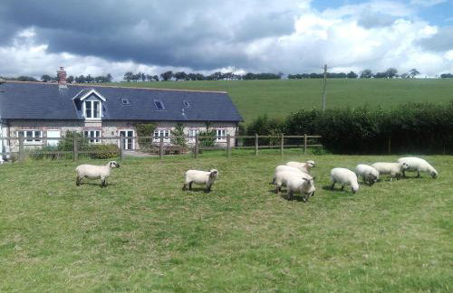 Rampisham Hill Farm Barn - Foto 8