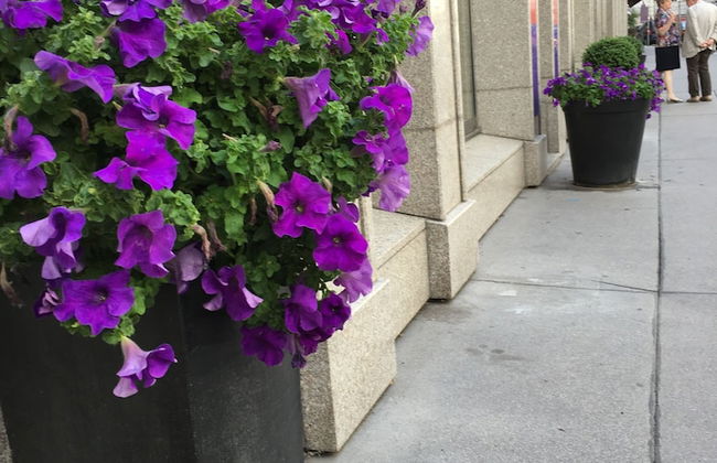 Heart of Vienna Hoher Markt - Foto 43