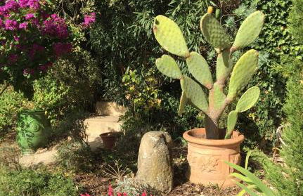 LES SANTOLINES - Studio Retro - Foto 21