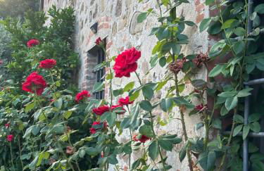 Case Vacanze Giovanni Garibaldi - Foto 38