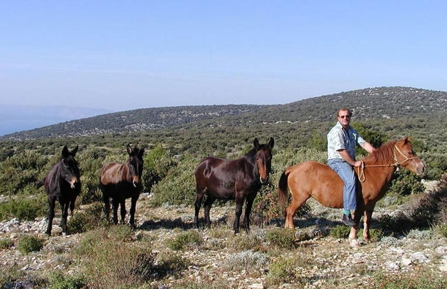 Mari 1 - With Pool - H - Photo 41