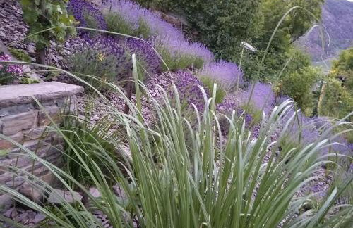 Ferienwohnung Lavendel - Foto 19