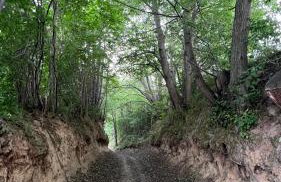 W Kręgu Natury - Foto 46