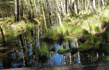 Ferienwohnung Fritzenwenger - Foto 19