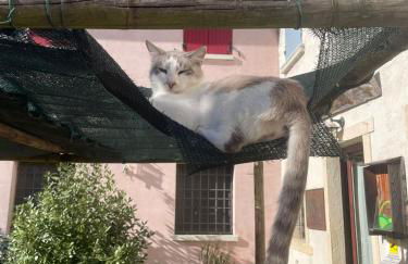 Nuova Scardua Agr Cucina Tipica - Foto 69