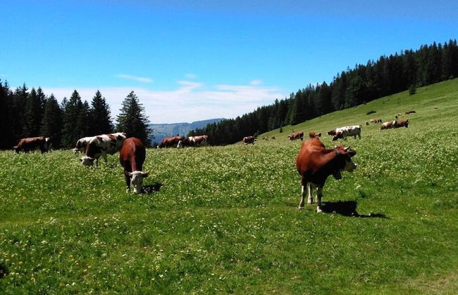 Holiday Apartment Morning Sun - Foto 7